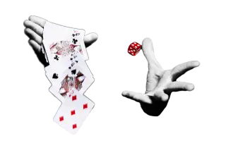 料理の準備時間をマジックでフォロー！